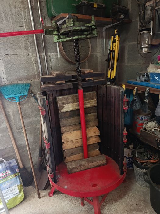 Prensa de vinho completa 250l