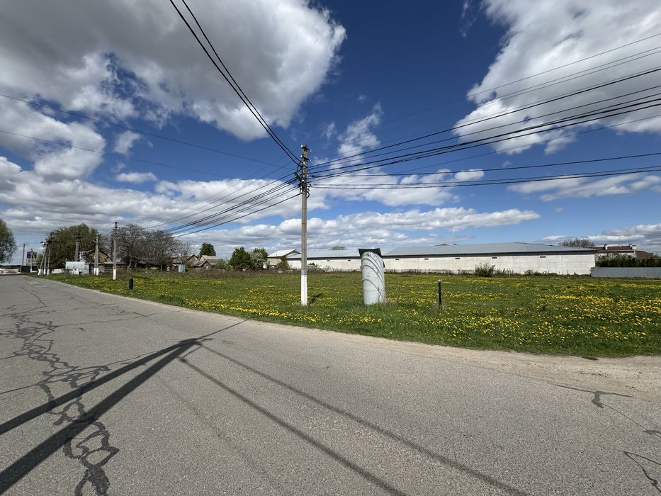 Чабани, вул. Польова 32 сотки