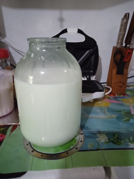 Продам добру козу