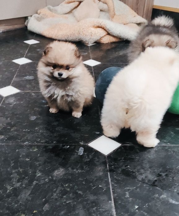 Гарні хлопчики та  дівчатка! Щеплення є