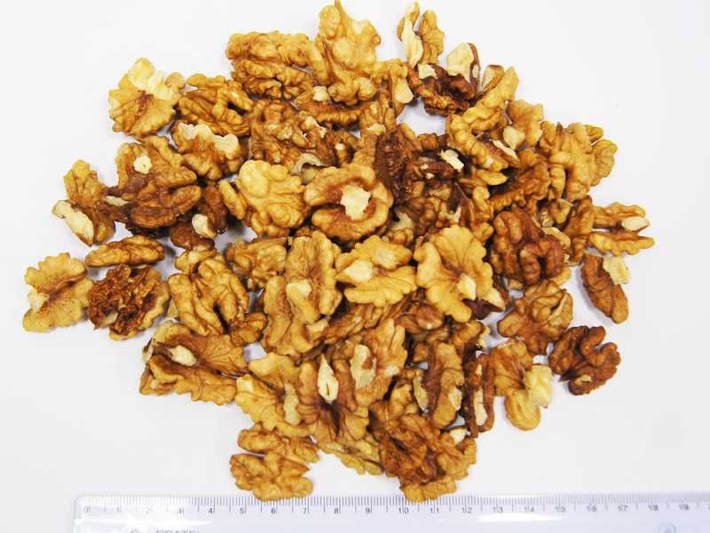 Orzechy włoskie połówki i ćwiartki 10 kg kartony Polskie 1 gat