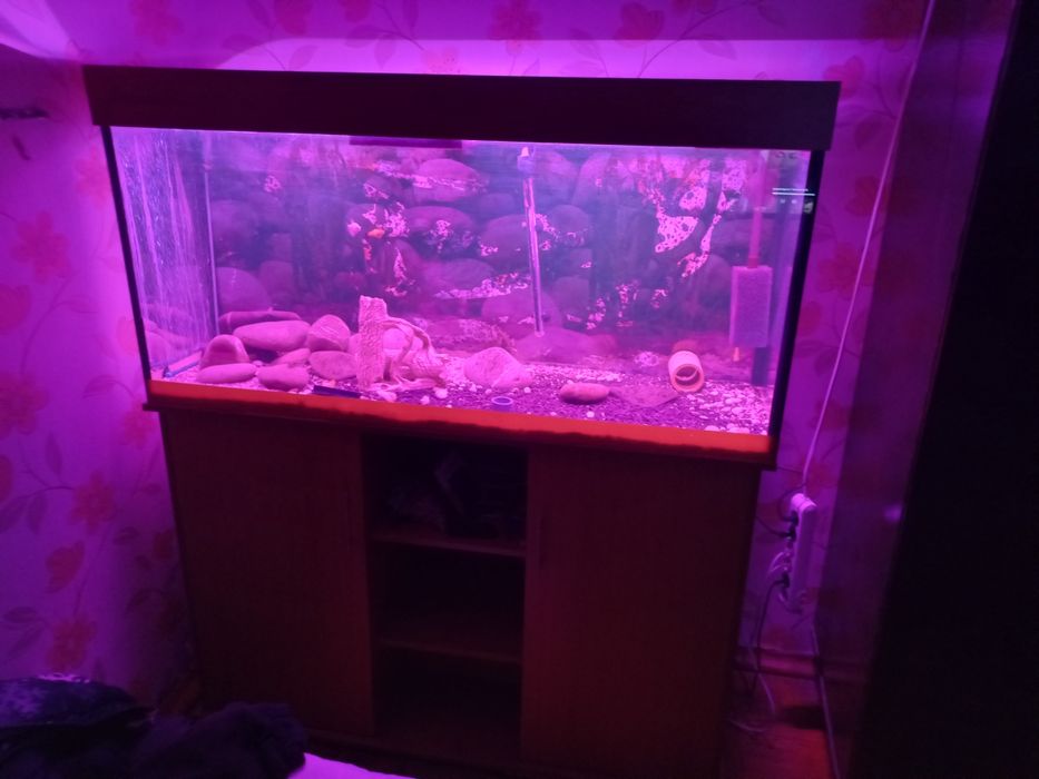 Аквариум 400л с оборудованием: 6 000 грн. - Акваріумістика Солоницівка ...