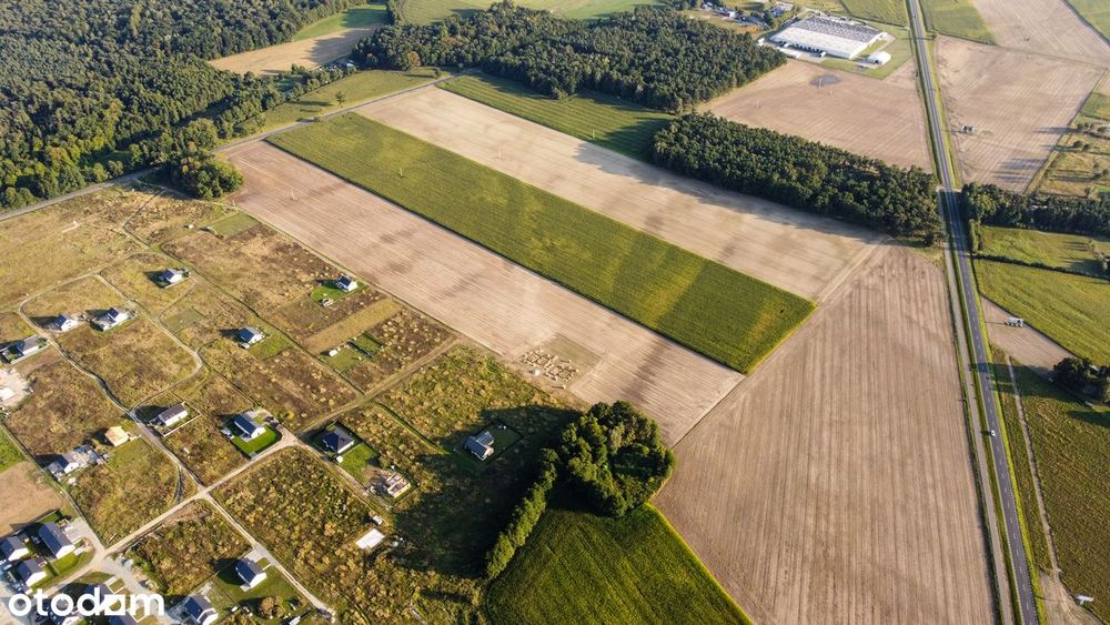 Działki budowlane Zbrudzewo k/Śremu - Widok 5