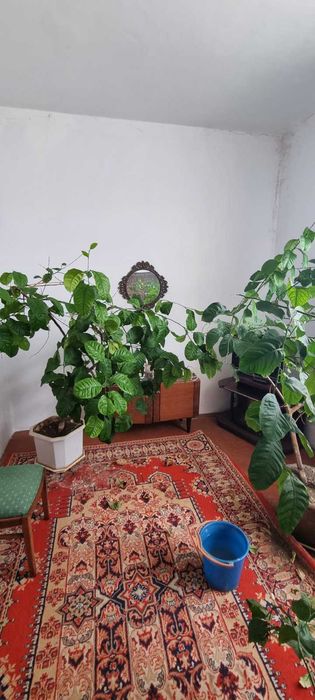 Продається будинок. с.Маків.