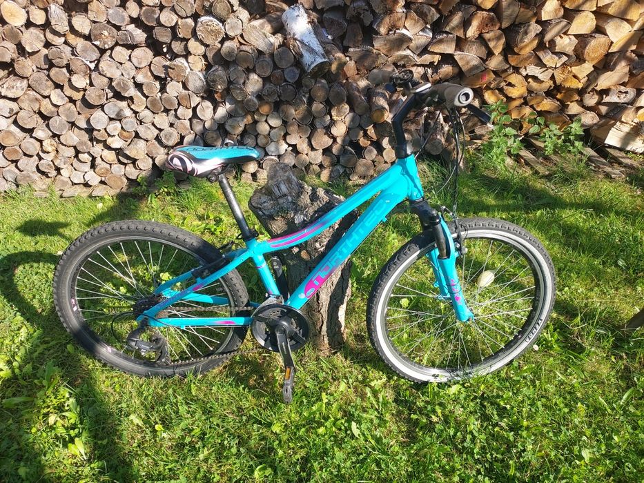 Rower northtec 24' niebieski