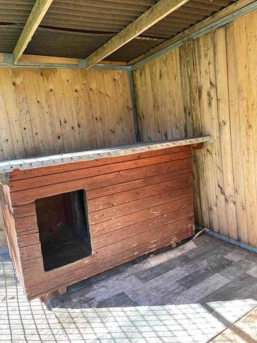 Kojec dla dużego psa