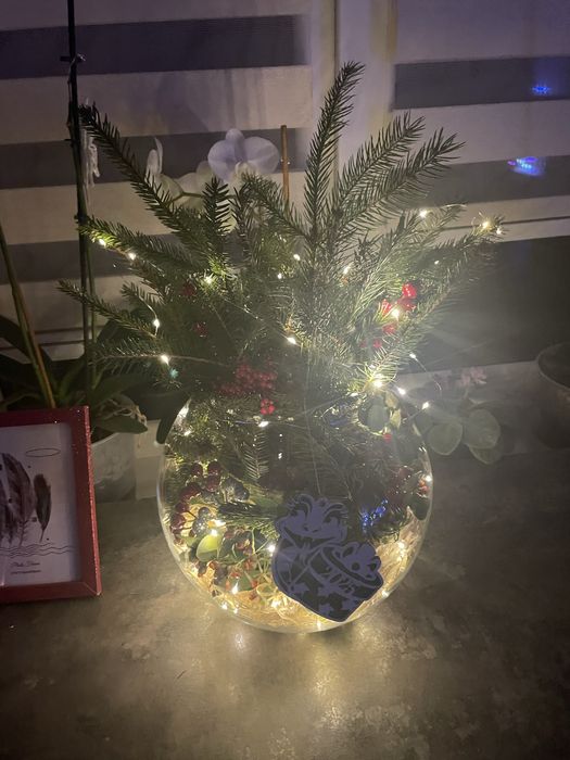 Герлянда,лєска-роса,5,10,20,30,50,100,200 м