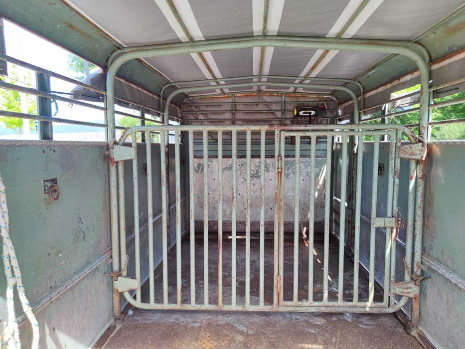 Carrinha DYNA 250 (transporte de animais)