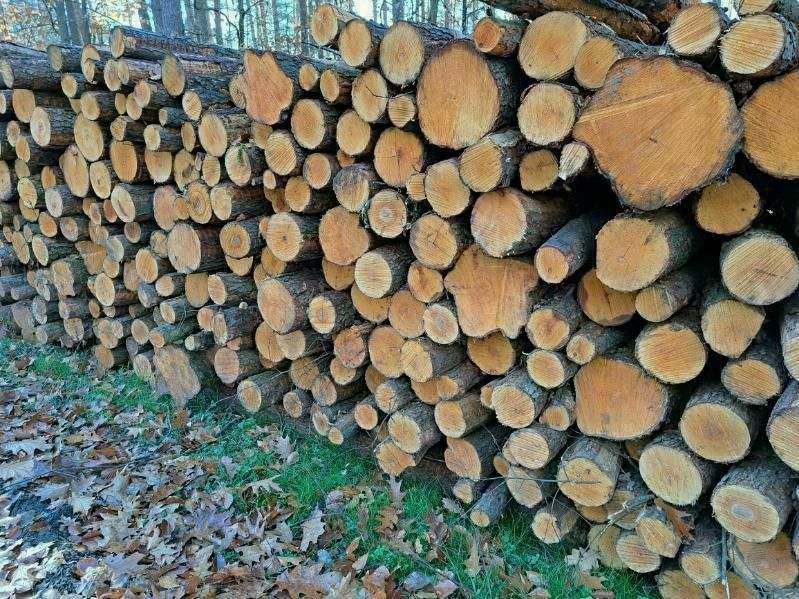 drewno kominkowe i opałowe Bieruń ,Imielin Lędziny