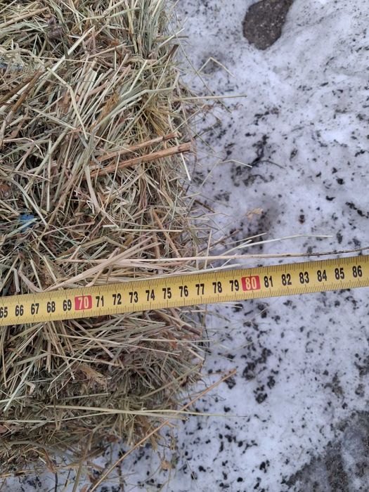 Сіно у тюках 2025 року