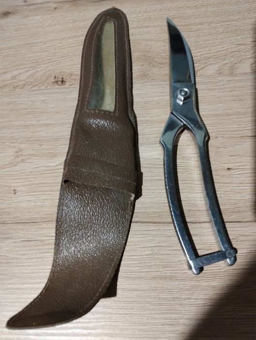 Nożyce do cięcia drobiu