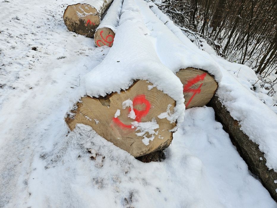 Drzewo tartaczne dachowe dłużyca jodła dąb