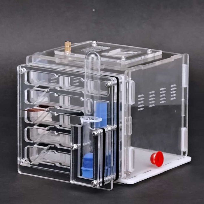 Formicario Ant Farm Formicarium formigas estimação com bebedouros NOVO