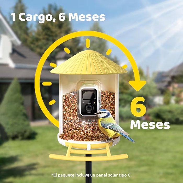 Netvue by Birdfy Alimentador pássaros com câmera, observação de aves c