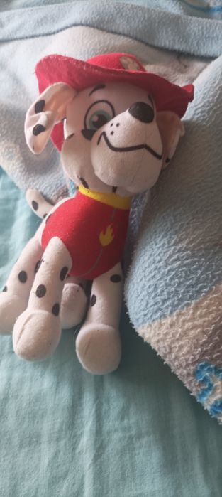 Peluche patrulha pata