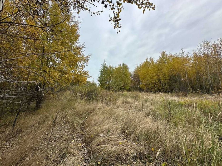 Продаж ділянки 41,5 соток. Михайлівка-Рубежівка. ОСГ. ID:734