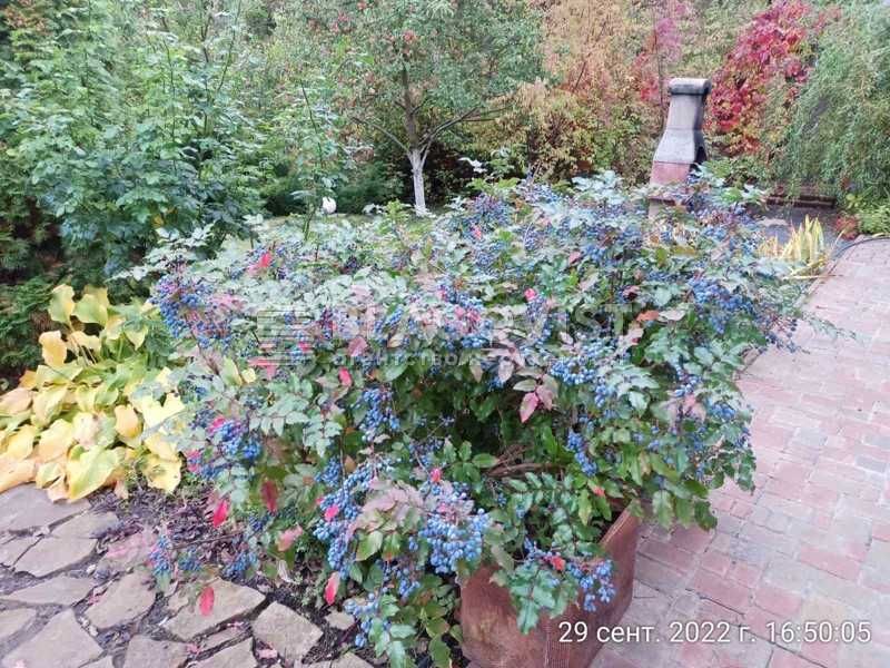 Продаж будинку з євроремонтом меблями та технікою.  Лебедівка