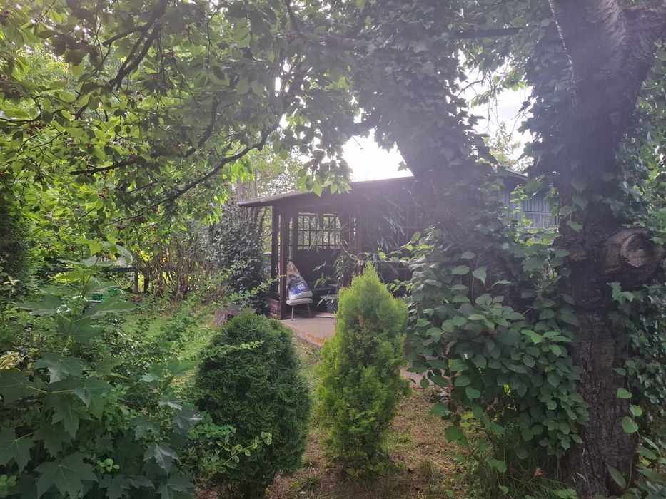 Działka ROD Słupsk-Bierkowo prąd woda gril