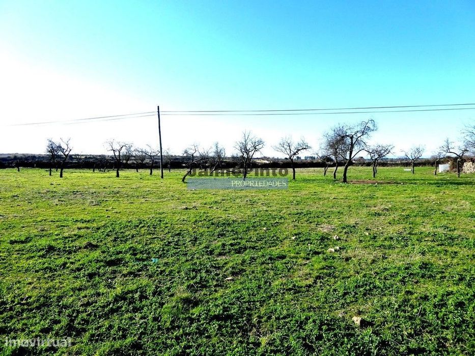 Rural House in Ruins on a 15,000 m² Plot. Portugal, Guarda, F. C. Rodrigo