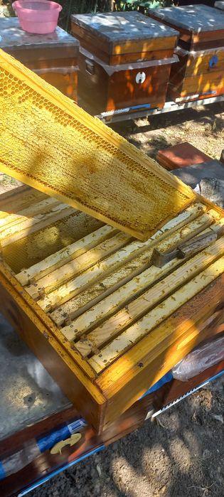 Вулики Дадан 12 рамок, та магазині надставки  на 145