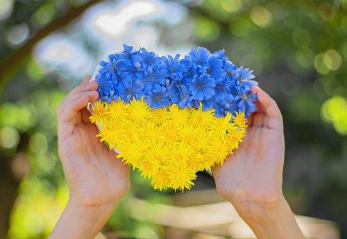Предлагаю услуги сиделки