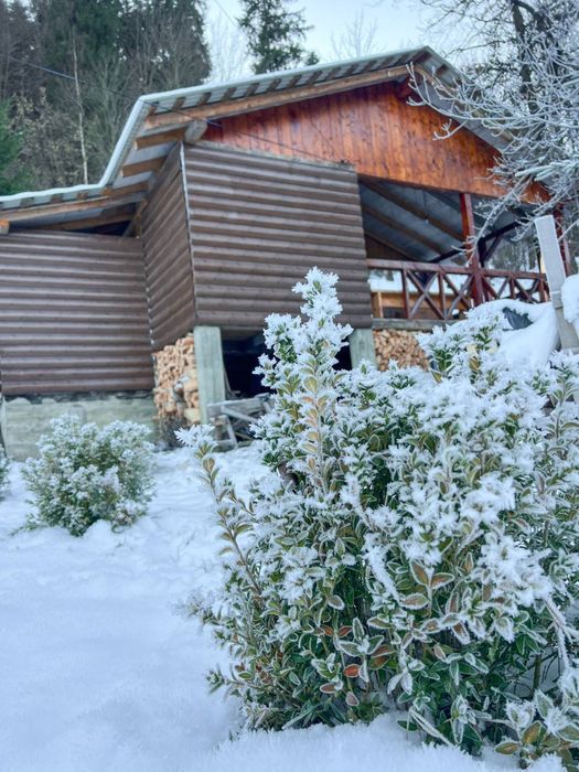 Чани на дровах Яремче/з виходом до річки/біля лісу/великий чан