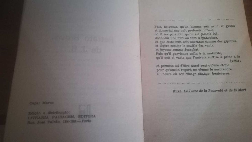 Retrato breve de J.B, - João Camilo
