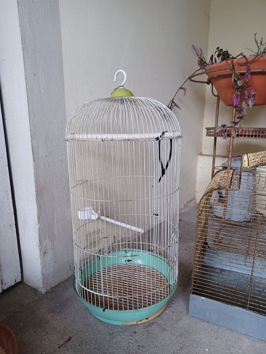 Gaiolas tamanhos diferentes 5€ cada