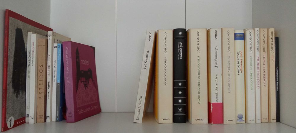 Livros (+ de 300) de ficção portuguesa e estrangeira