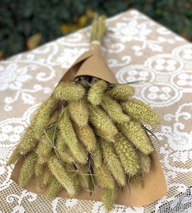 Букет з колосків лисячого хвоста - сетарії