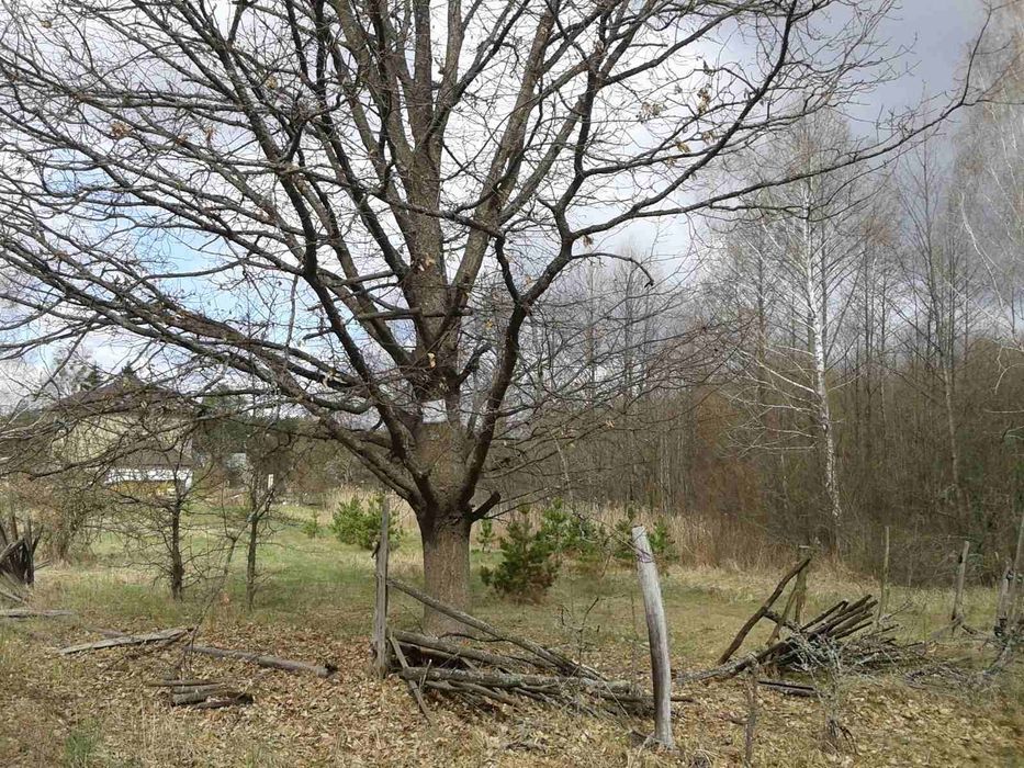 Продам  участок 15 сот.