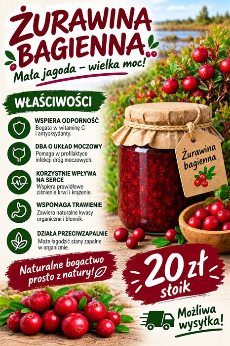 Żurawina bagienna