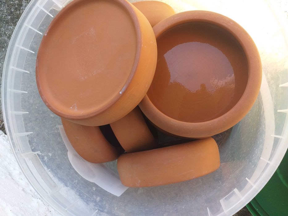 Acessórios para aves/exóticos/canários