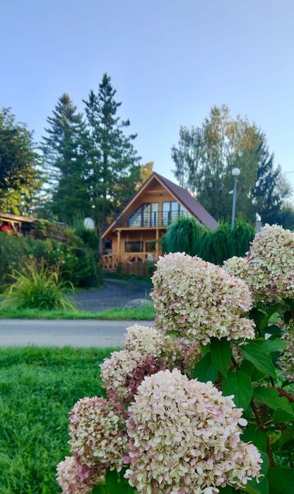 Domek nad jeziorem okolice Świeradów-Zdrój