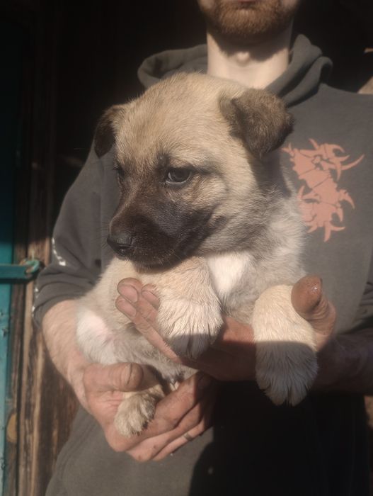 Хлопчик 2 міс вакцинован