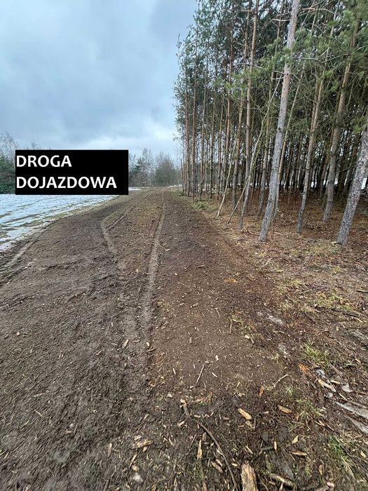 Działki budowlane GRABINY - 8.4a - 8.1a- WZ! - Widok 6