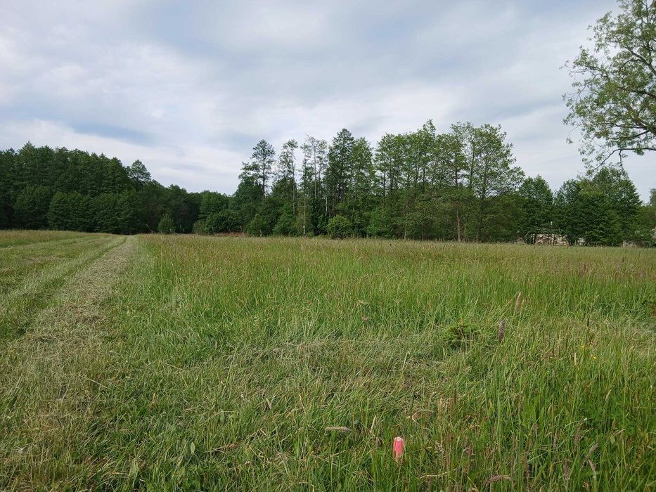 Działka budowlana przy lesie 3000 m², wydane warunki zabudowy, dobry dojazd - A2 do Mińska Mazowieckiego i Warszwy.. - Widok 5