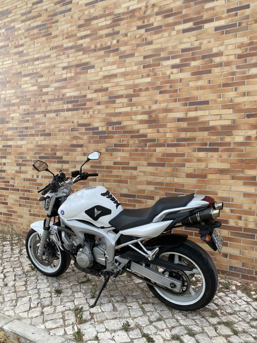 Yamaha fz6 imaculada fazer 600