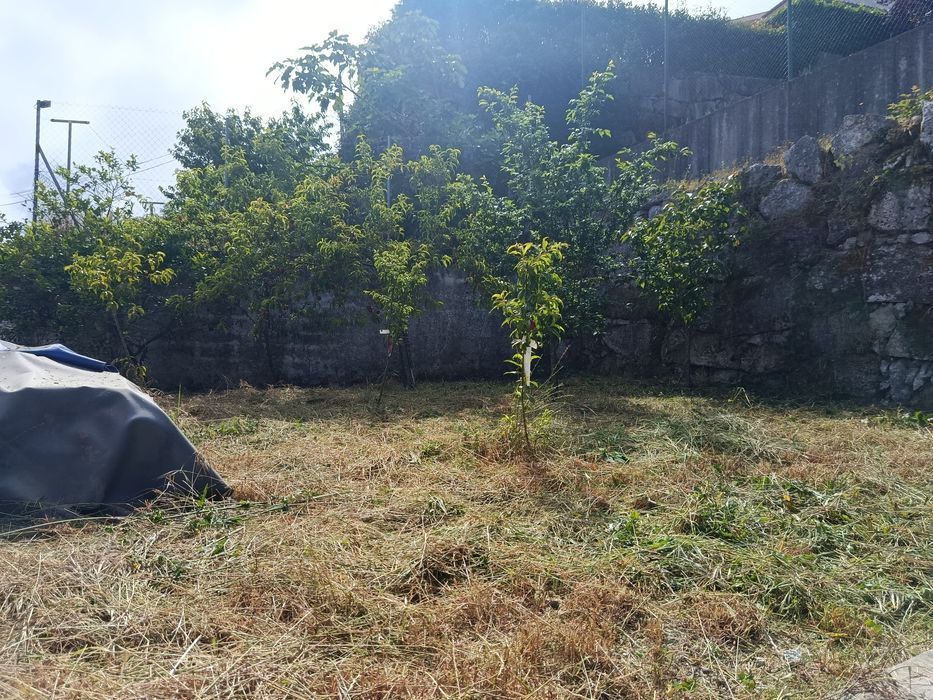 Limpeza de terrenos