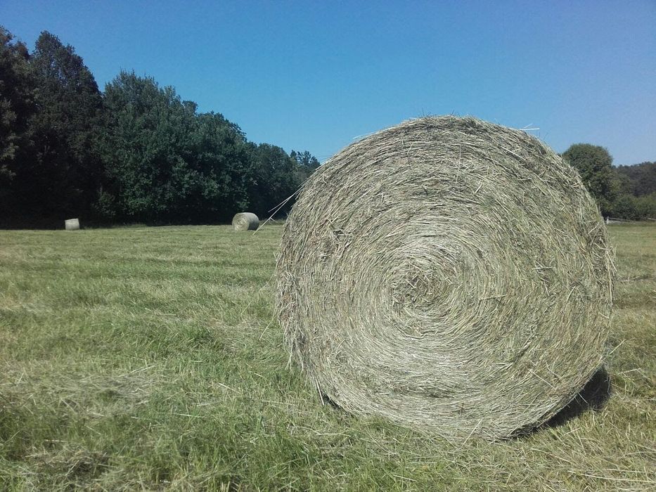 2025 Siano ekologiczne, sianokiszonka