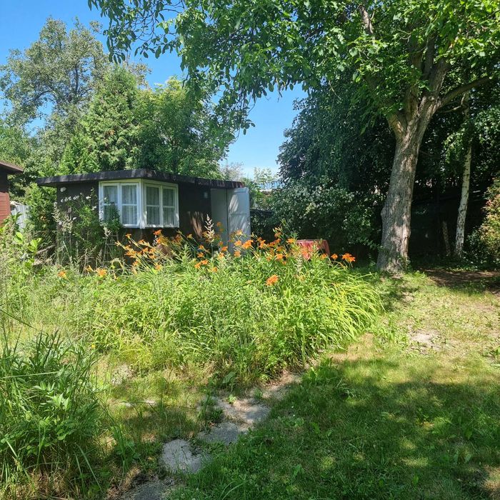 Działka w ROD Sasanka w Warszawie. pow. 430,00 m² z dogodnym dojazdem komunikacją. - Widok 5