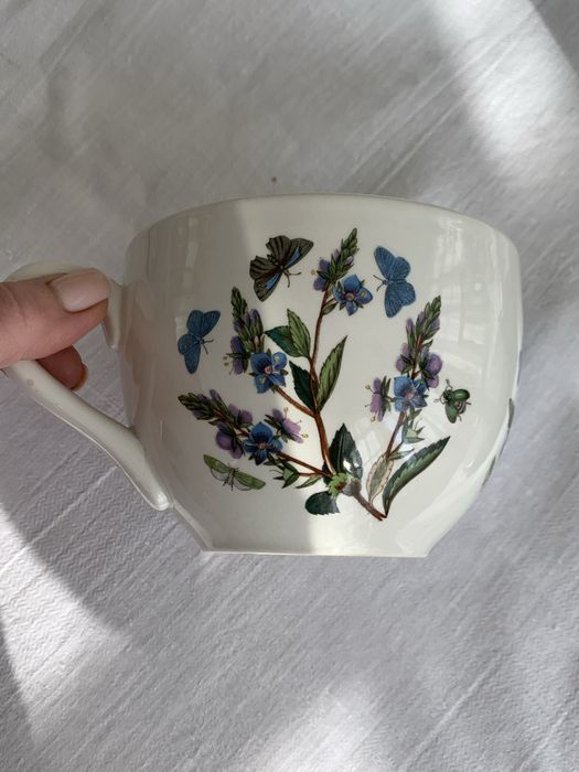 кухлі  Potmeirion Botanic Carden вітнаж