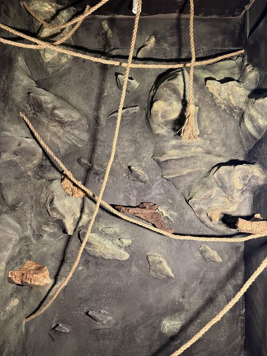 Terrarios personalizados feitos à medida