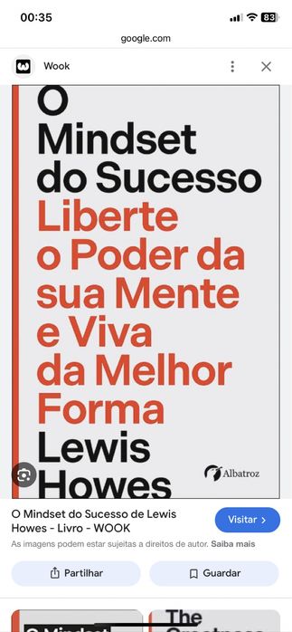 LIVRO O MIND SET DO SUCESSO