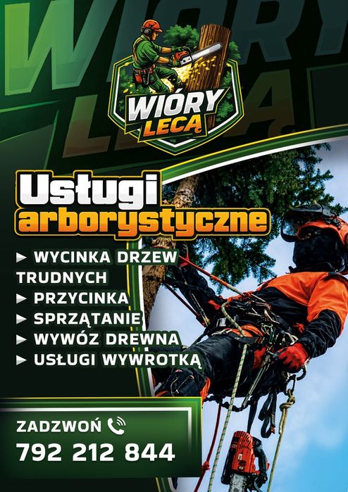 Usługi wycinki drzew