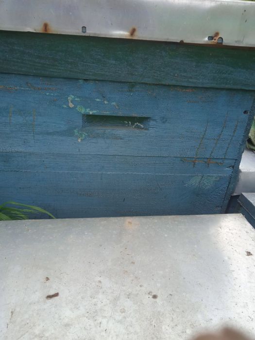 Вулики. Ульи Дадан 10-тирамочнфе с полным комплектом суши и магазинами