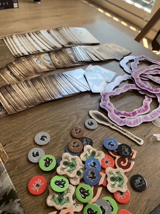 The Village Crone gra planszowa gry planszowe gra karciana