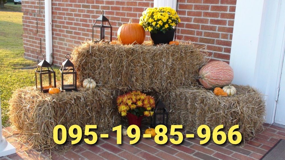 СОЛОМА  С ДОСТАВКОЙ ОТ 1 ШТ в тюках мешках. Декор, подстилка, корм.