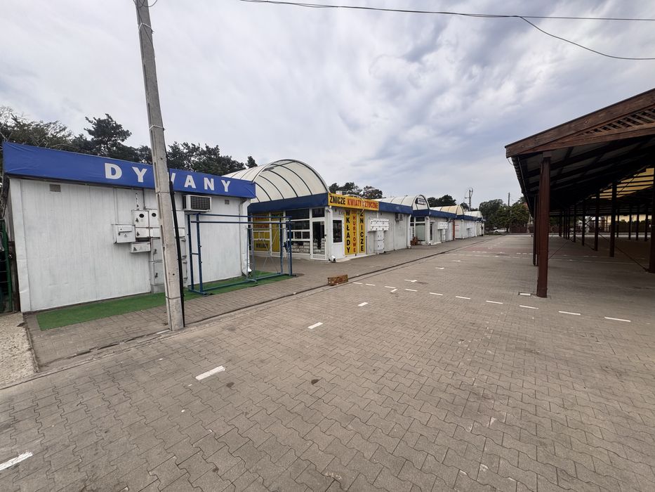 Zdjęcie 7