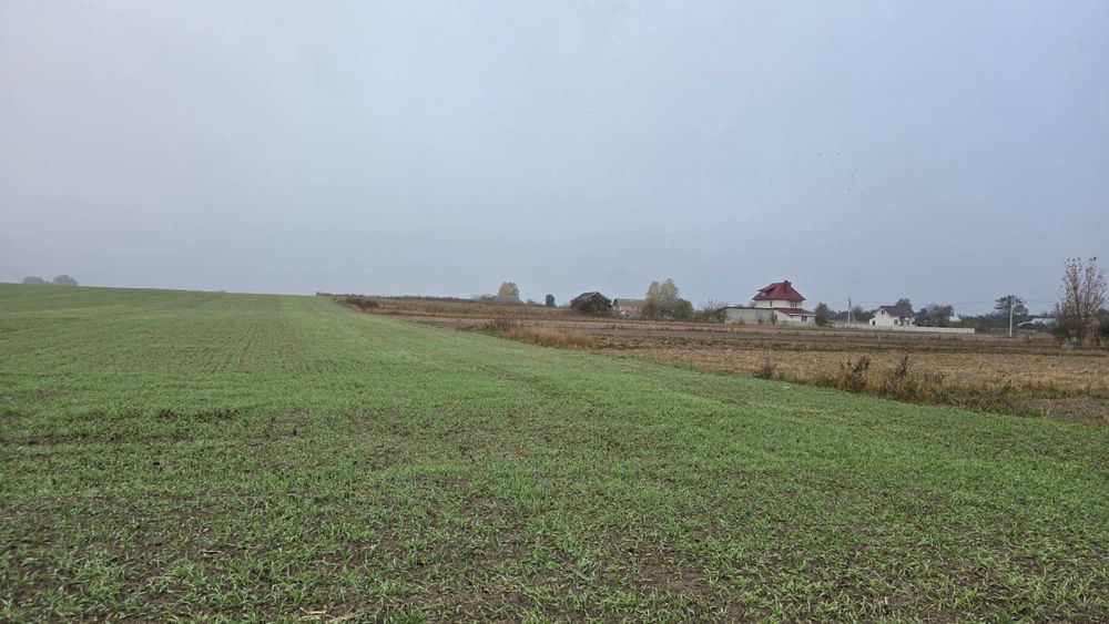 Продам ділянку в  селі Лаврівка 9052